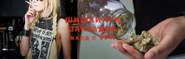 тгк Алексин