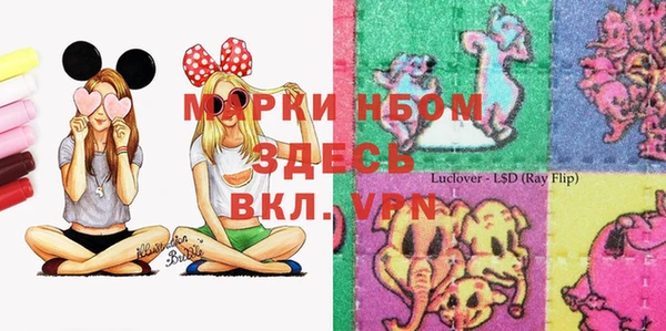 стафф Алзамай