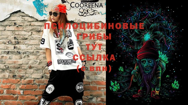 тгк Алексин