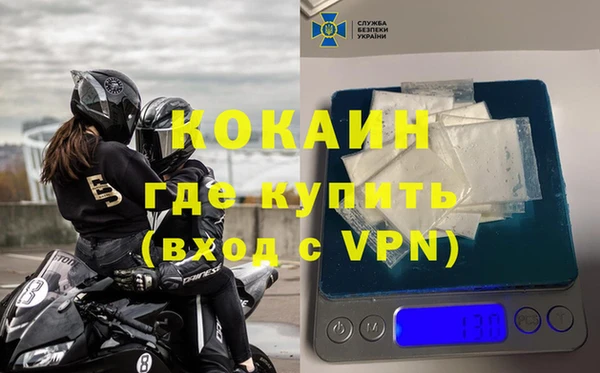 стафф Алзамай