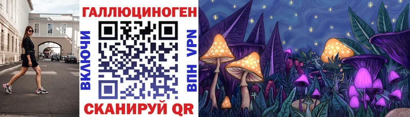 Галлюциногенные грибы Cubensis  наркошоп  Глазов 