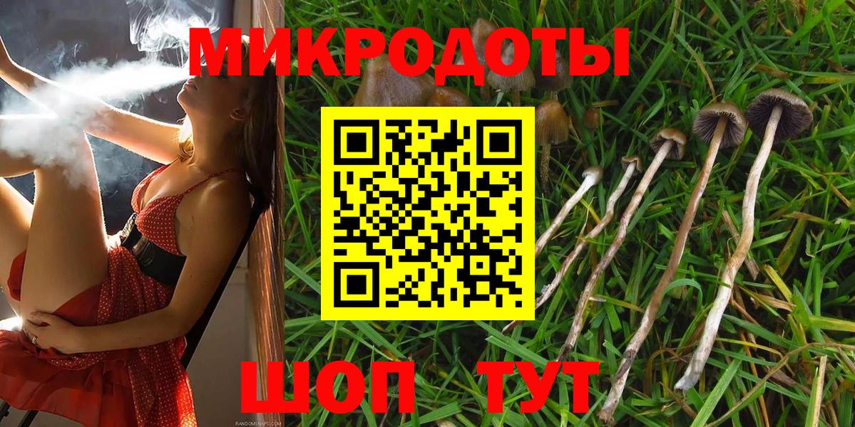 Псилоцибиновые грибы Psilocybine cubensis  Вход с VPN  Глазов 
