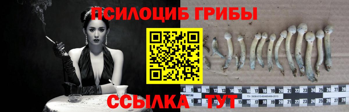 Псилоцибиновые грибы мухоморы Глазов